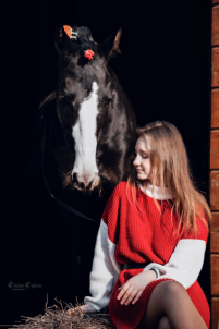 Аренда лошадей