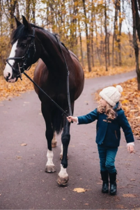 Конеперевозки