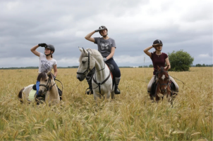 Индивидуальные занятия по выездке