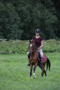 Индивидуальные занятия для взрослых