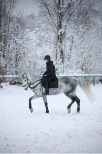 Подарочный сертификат