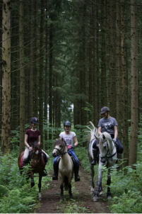 Индивидуальные занятия по конкуру