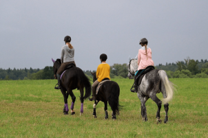 Конные прогулки в поле