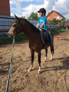 Индивидуальные занятия по конкуру