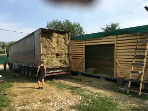 СЕГОДИНА ЕВГЕНИЯ