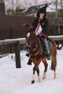 Экскурсия с катанием на лошади