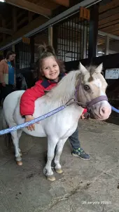 Конные прогулки в поле