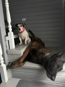 Конные прогулки с обучающей программой