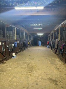 Конеперевозки