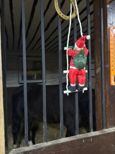 Детские праздники