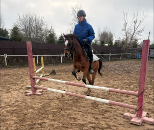 Индивидуальные занятия по конкуру