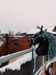 Конеперевозки