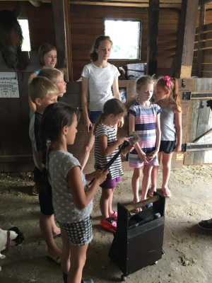 Экскурсия без катания на лошади