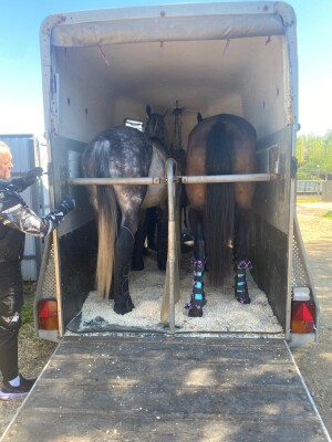 Конеперевозки