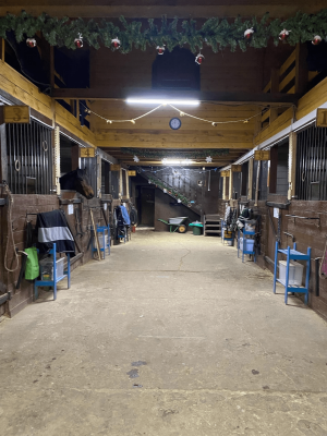 Постой лошадей